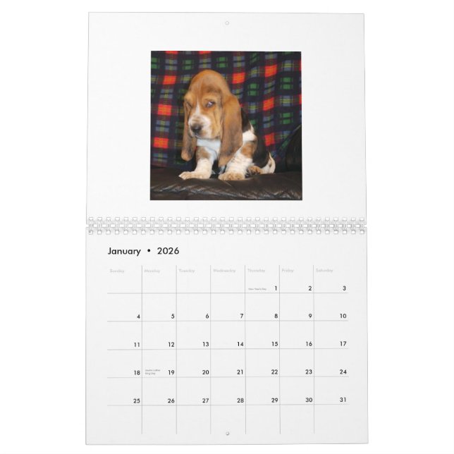 Calendário do filhote de cachorro de Basset Hound (Jan 2026)
