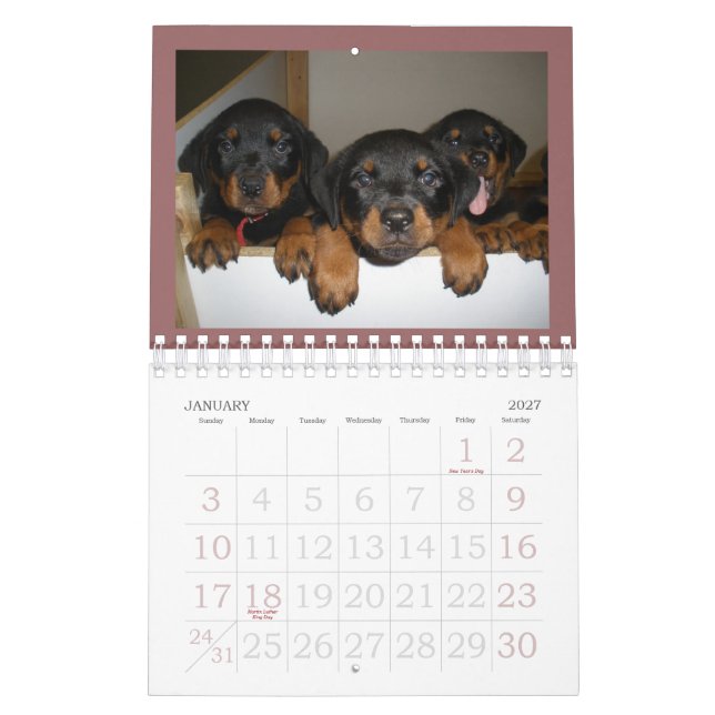 Calendário do filhote de cachorro de Rottweiler (Jan 2027)