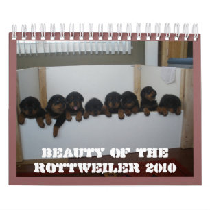 Calendário do filhote de cachorro de Rottweiler