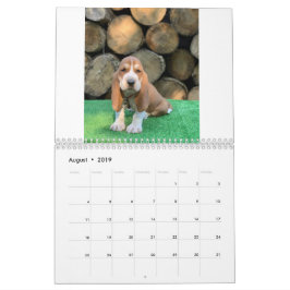 Calendário do filhote de cachorro do cão de Basset