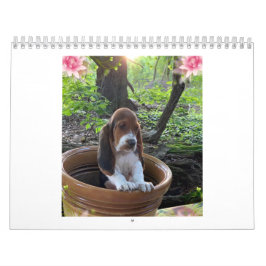 Calendário do filhote de cachorro do cão de Basset