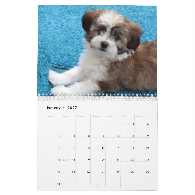Calendário do filhote de cachorro do salvamento de (Jan 2027)