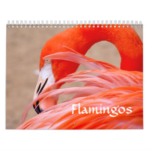 Calendário do flamingo