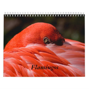 Calendário do flamingo