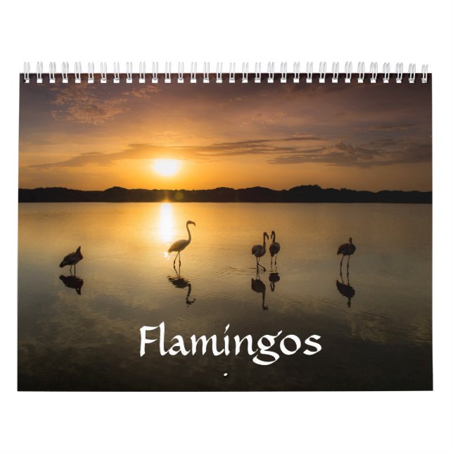 Calendário do flamingo (Capa)