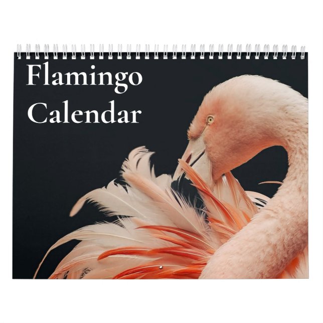 Calendário do Flamingo 2027 (Capa)