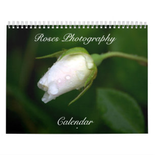 Calendário do Flor de Fotografia do Rosa