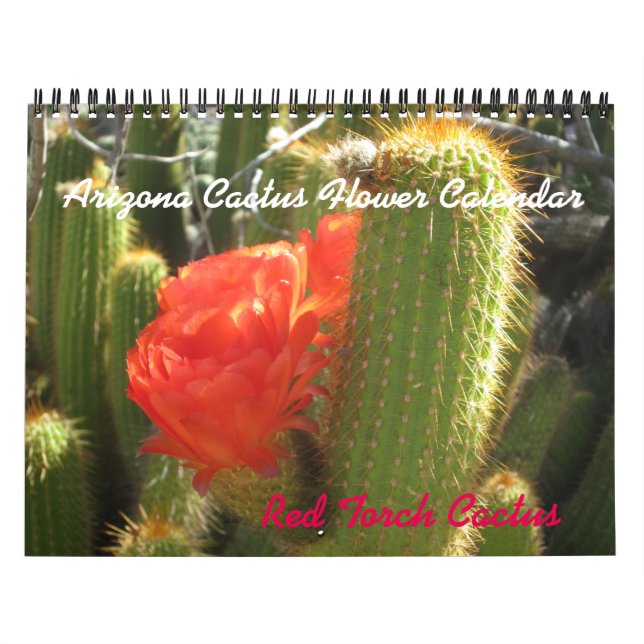 Calendário do Flor do Cactus de arizona (Capa)