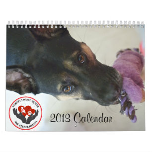 Calendário do fósforo 2013 de Pawfect