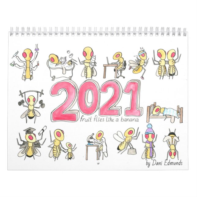 Calendário do Fruta Fly 2021 (Capa)