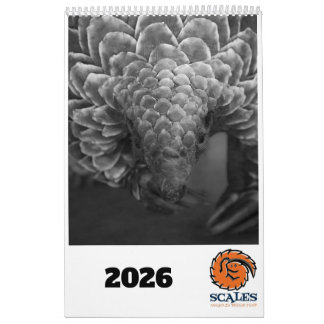 Calendário do Fundo de Emergência Pangolin 2026