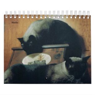 Calendário do gato