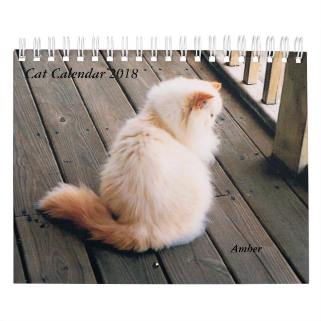 Calendário do gato (Capa)