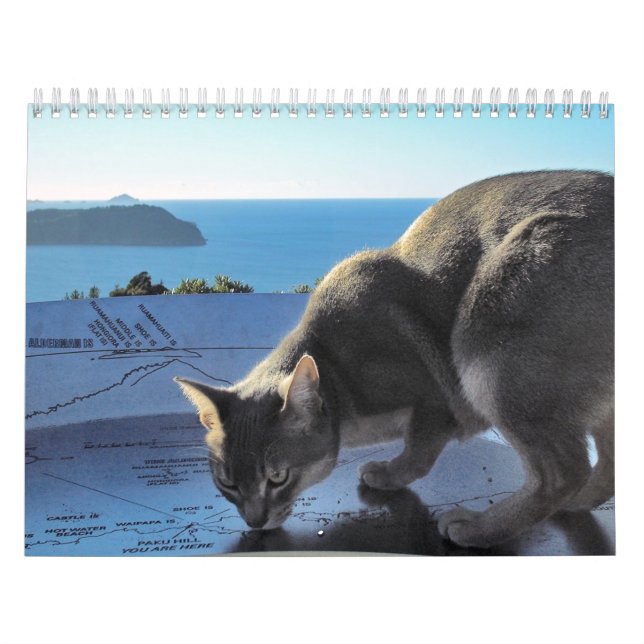 Calendário do gato (Capa)