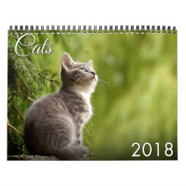 Calendário do gato 2018 e do gatinho