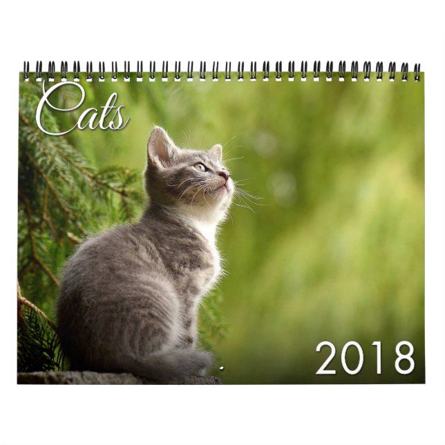 Calendário do gato 2018 e do gatinho (Capa)