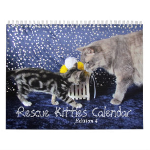 Calendário do Gato de Emergência - Edição 4