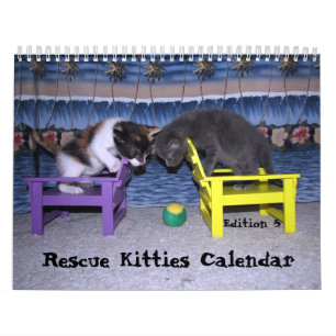 Calendário do Gato de Emergência - Edição 5