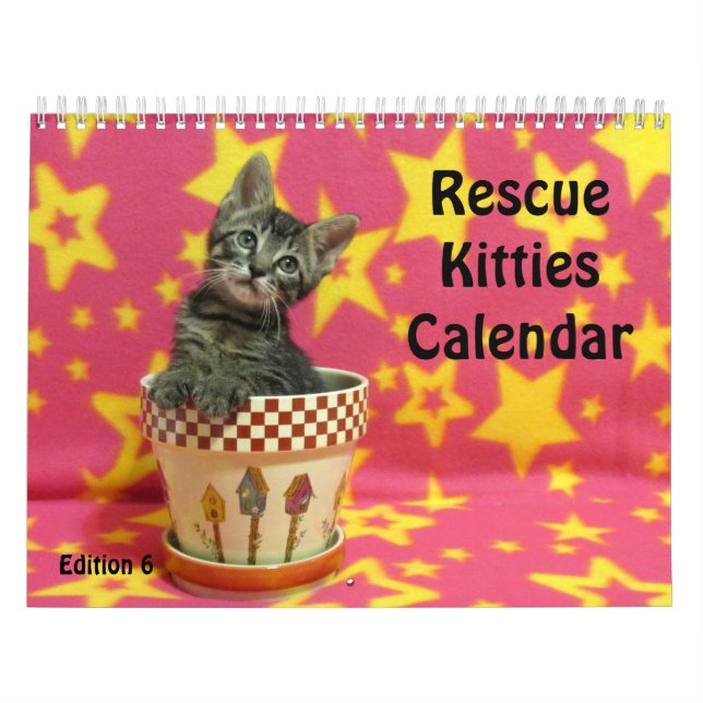 Calendário do Gato de Emergência - Edição 6 (Capa)