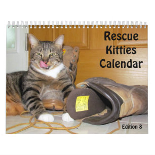 Calendário do Gato de Emergência - Edição 8