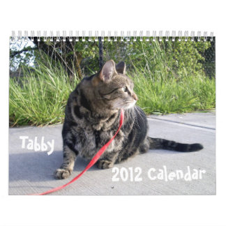 Calendário do gato de gato malhado 2012