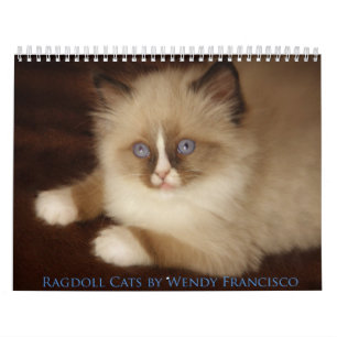 Calendário do gato de Ragdoll