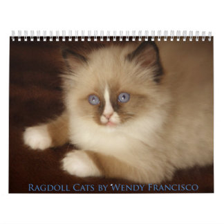 Calendário do gato de Ragdoll
