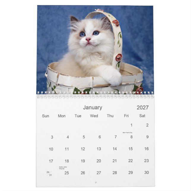 Calendário do gato de Ragdoll (Jan 2027)