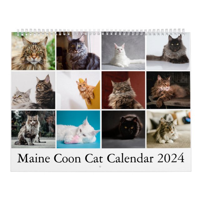 Calendário do Gato do Maine Coon (Capa)