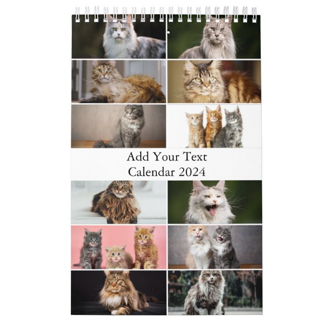 Calendário do Gato do Maine Coon (Capa)