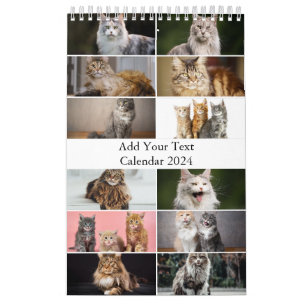 Calendário do Gato do Maine Coon