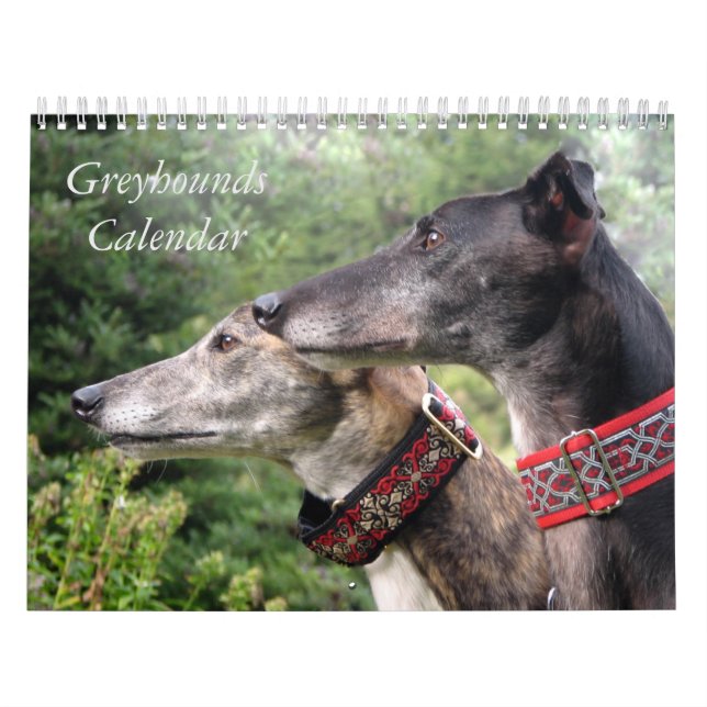 Calendário do Greyhound (Capa)