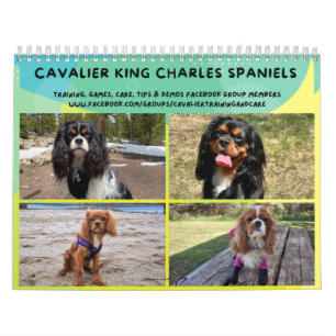 Calendário do Grupo FB Cavalier King Charles Spani