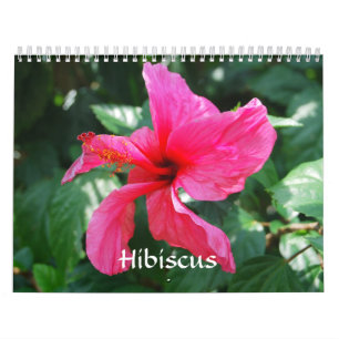 Calendário do Hibiscus