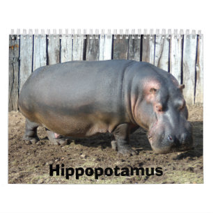 Calendário do Hippopotamus, Hippopotamus