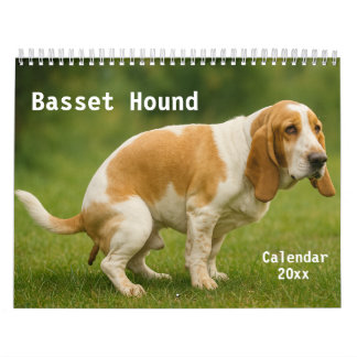 Calendário do Hound Basset 2026