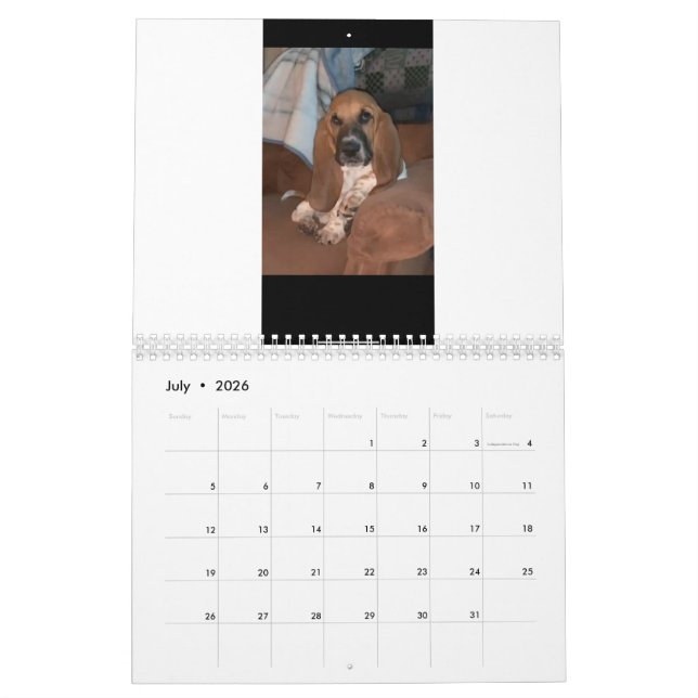 Calendário do Hound de Basset (Jul 2026)