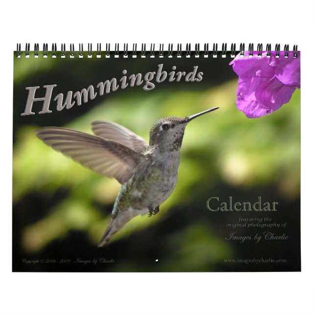 Calendário do Hummingbird (Capa)
