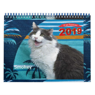 Calendário do iCat Forever 2019