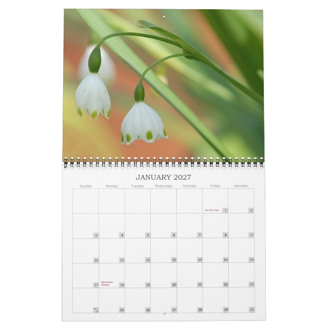 Calendário do Jardim 2008 da Angie (Jan 2027)