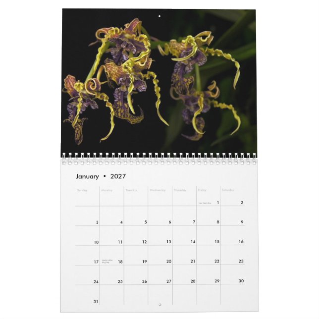 Calendário do jardim 2013 de Dave (Jan 2027)