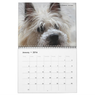 Calendário do jardim 2016 de Dave