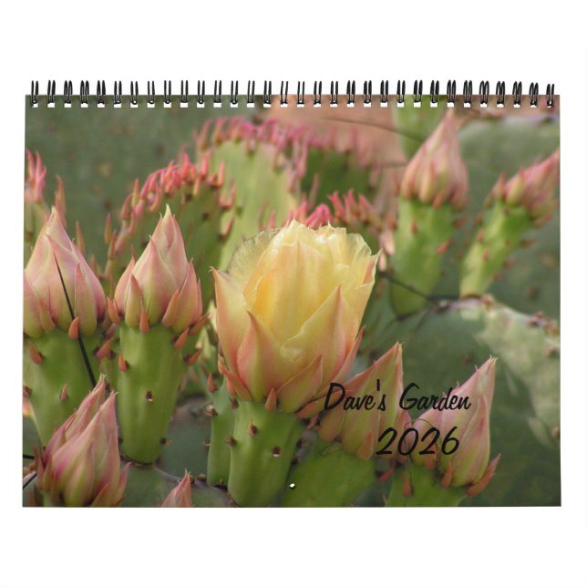Calendário do Jardim de Dave 2026 (Capa)