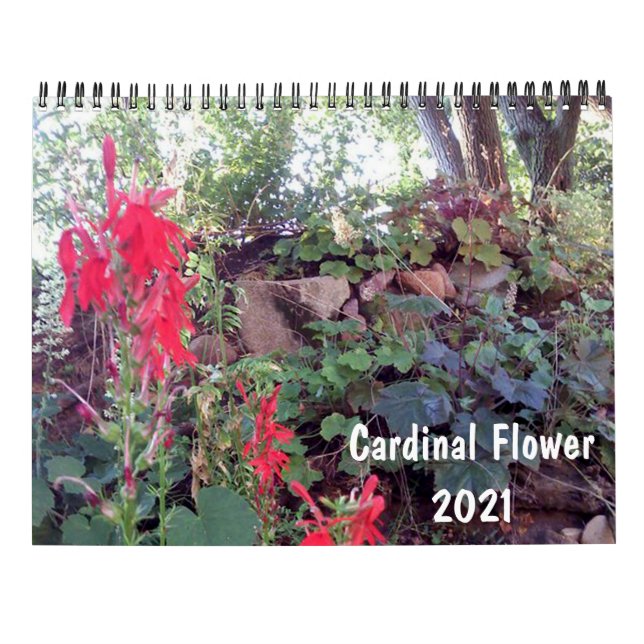 Calendário do Jardim Nativo de 2021 (Verso)
