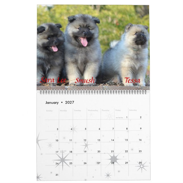 Calendário do Keeshond da trombeta (Jan 2027)