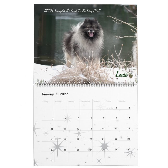 Calendário do Keeshond da trombeta (Jan 2027)