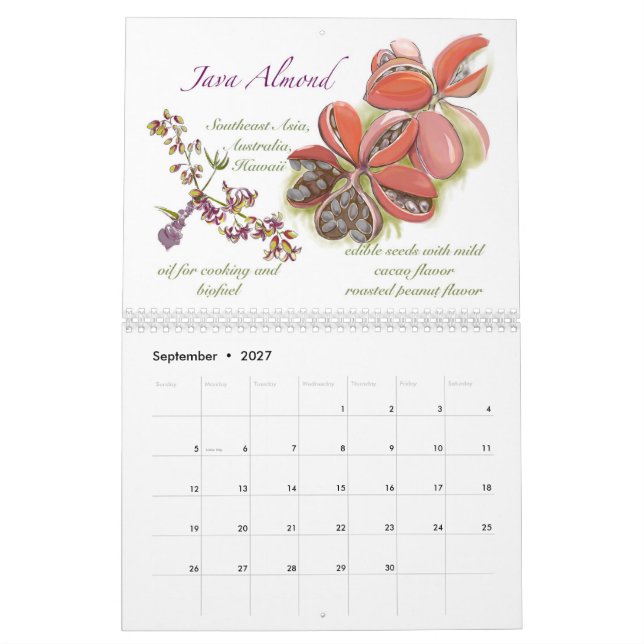 Calendário do Kwaj 2025 (Set 2027)