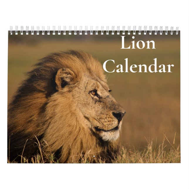 Calendário do Leão 2027 (Capa)