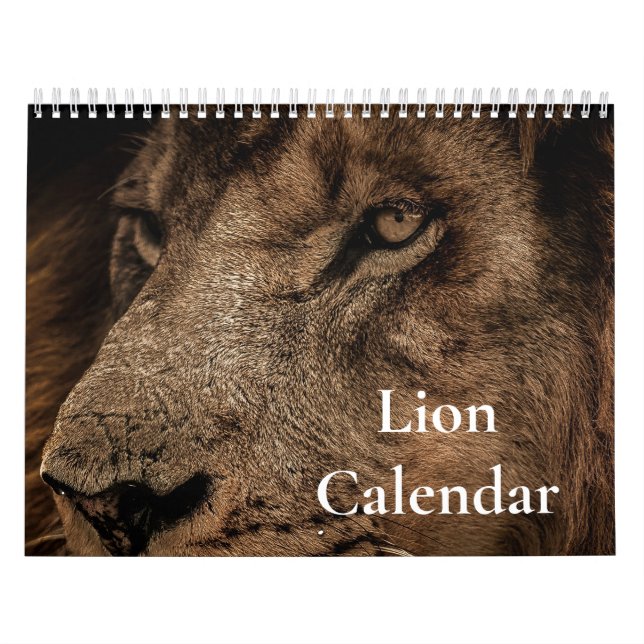 Calendário do Leão 2027 (Capa)