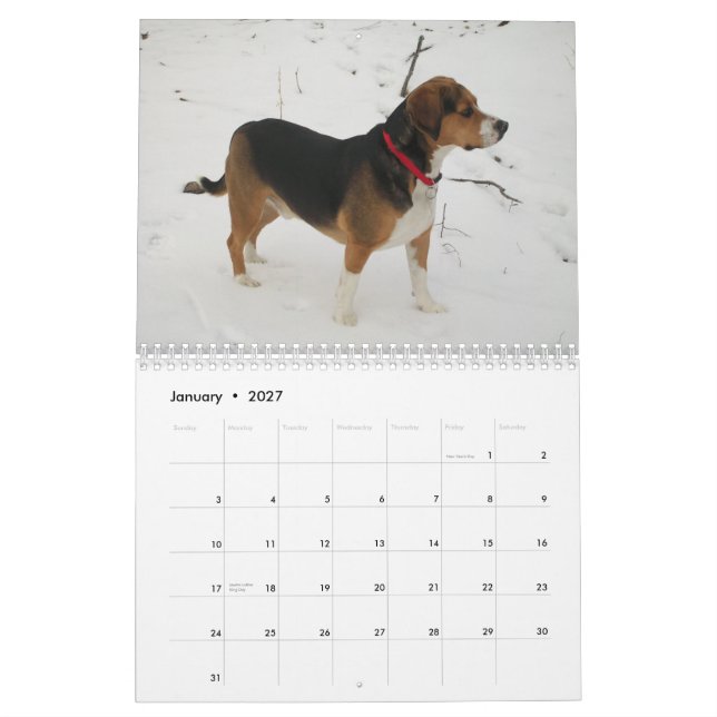 Calendário do lebreiro de 12 meses - que cão! (Jan 2027)